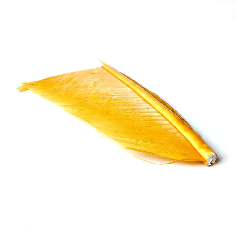 Substitut de Condor - 1 Plume - JMC