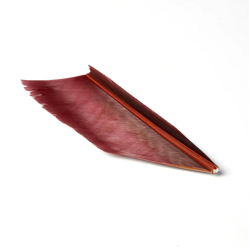 Substitut de Condor - 1 Plume - JMC