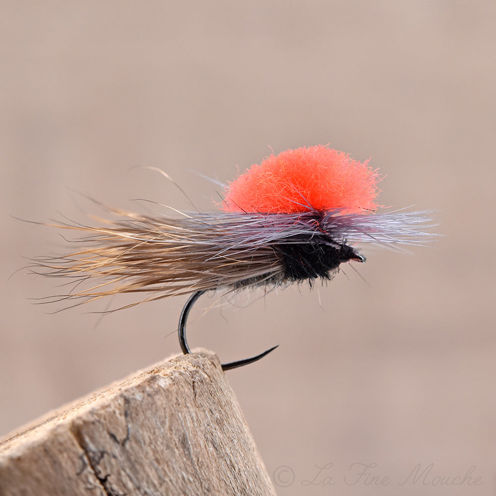 Tavanas GDC 12 Devaux, sedge gris clair à toupet orange fluo
