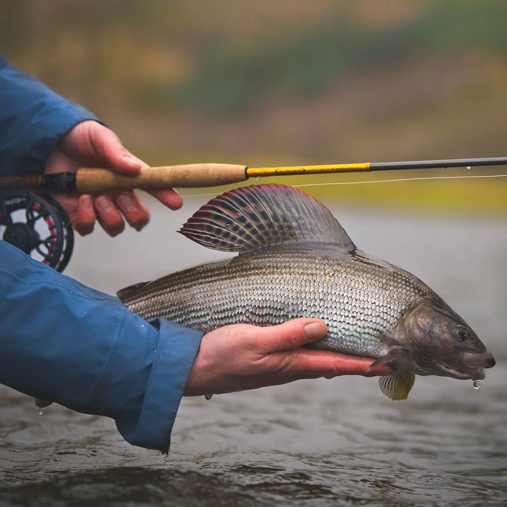 Canna da Mosca Vision Nymphing Hero 2 - 10'6 #3