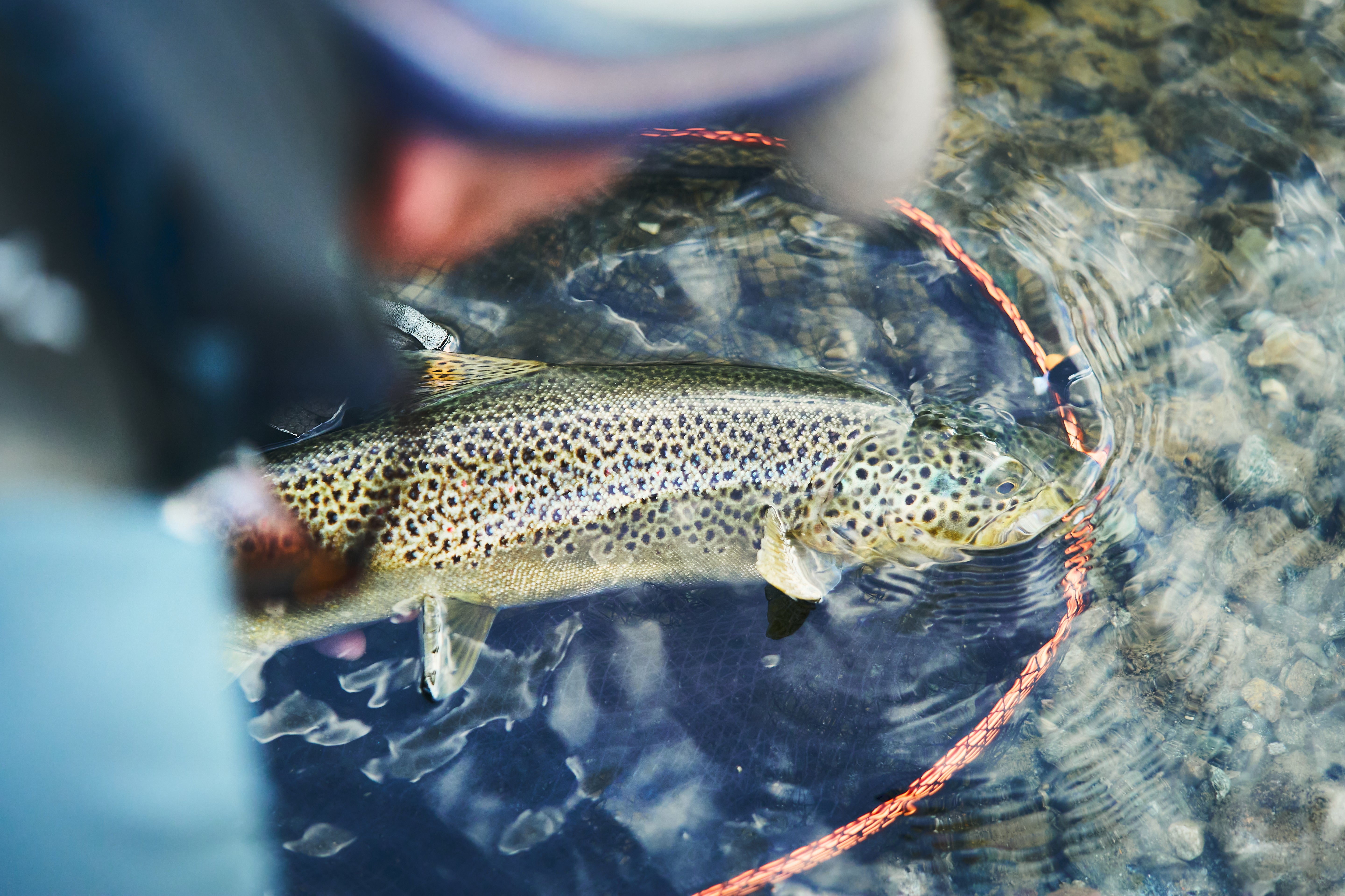 Guideline Multi Grip Rubber Net Large - Rubber Fly Fishing Landing Net