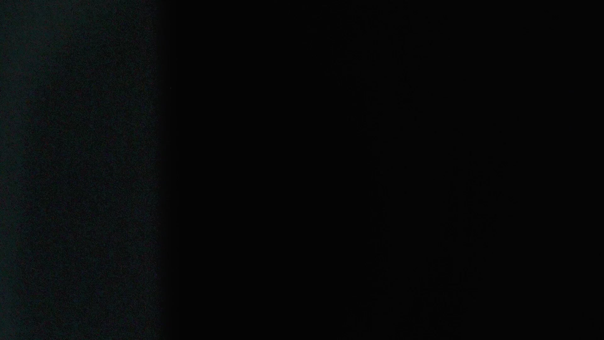 Fliegenweste Experience DW Vest von Guideline